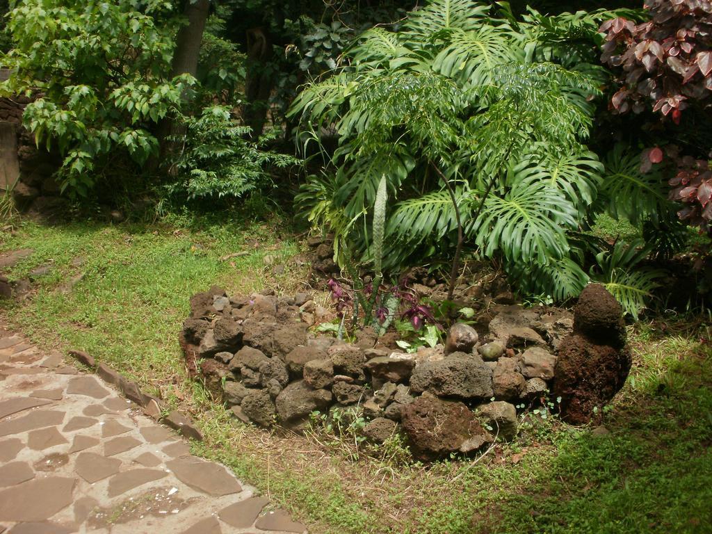 Cabanas Moenga Hanga Roa Bagian luar foto