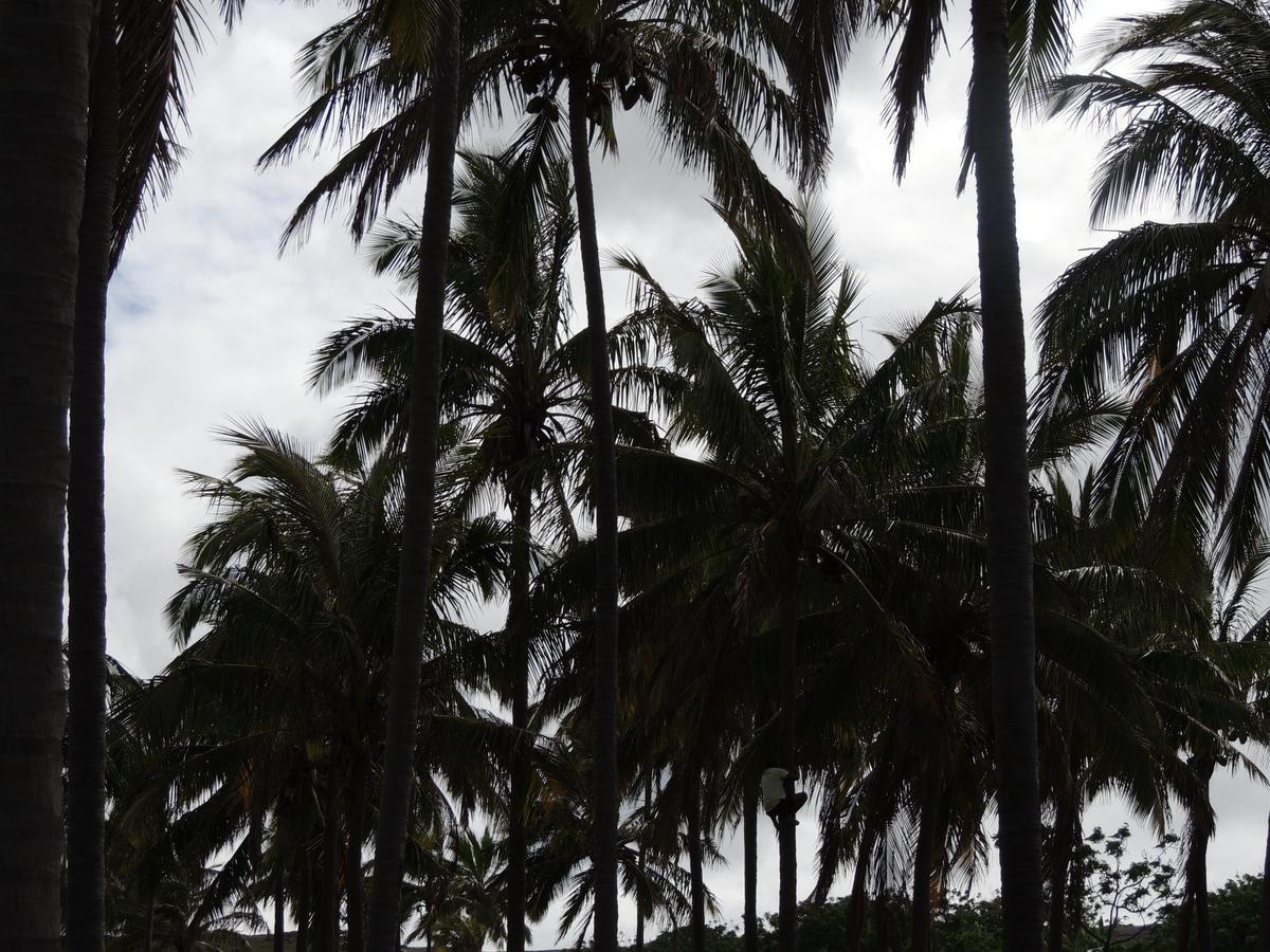 Cabanas Moenga Hanga Roa Bagian luar foto