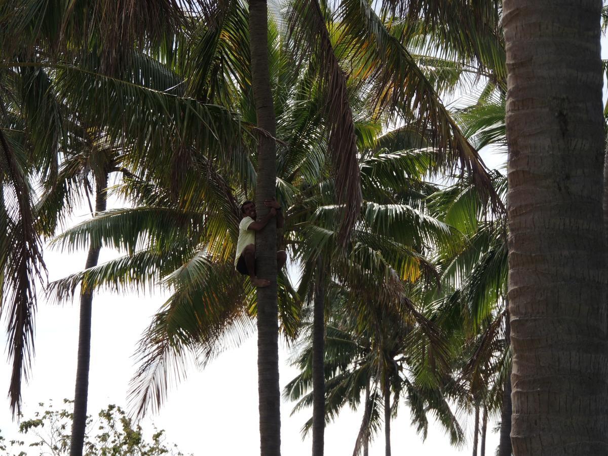 Cabanas Moenga Hanga Roa Bagian luar foto