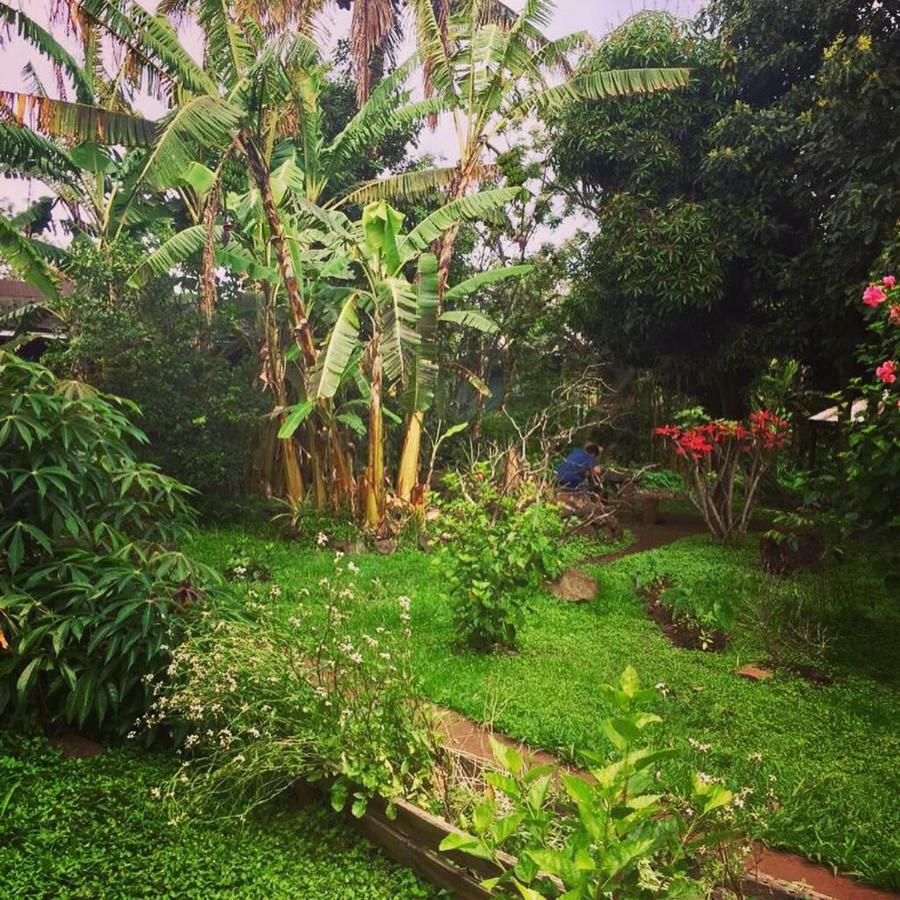 Cabanas Moenga Hanga Roa Bagian luar foto